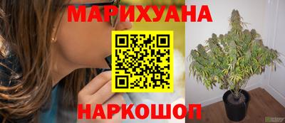 альфа пвп Камышлов