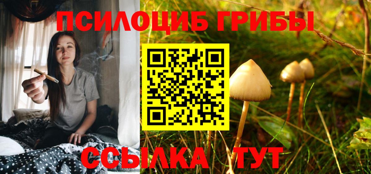 Галлюциногенные грибы MAGIC MUSHROOMS  Вход с VPN  Евпатория 